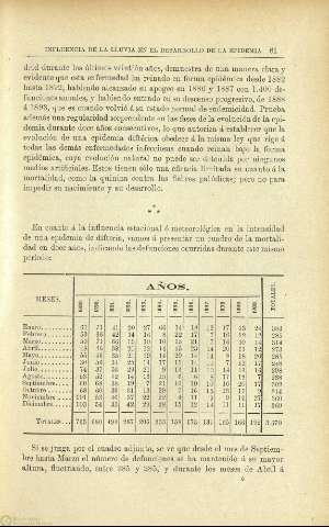 81